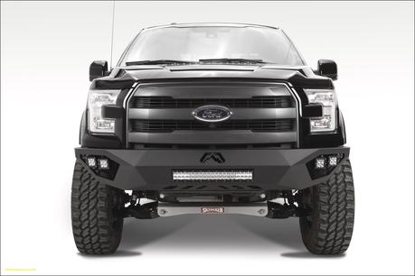 9 ford F150 Lower Bumper Grille Insert