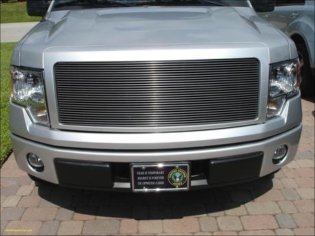 9 ford F150 Lower Bumper Grille Insert