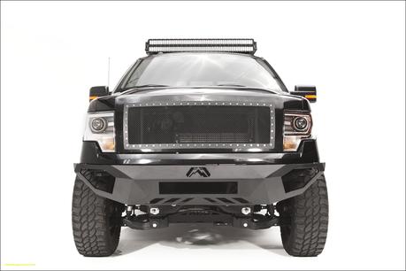 9 ford F150 Lower Bumper Grille Insert