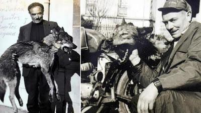 La imagen de la vergüenza