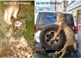 La imagen de la vergüenza