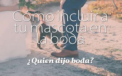 Cómo incluir a tu mascota en la boda