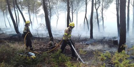 Incendio en la urbanización Mas del Plata Incendio en la urbanización Mas del Plata