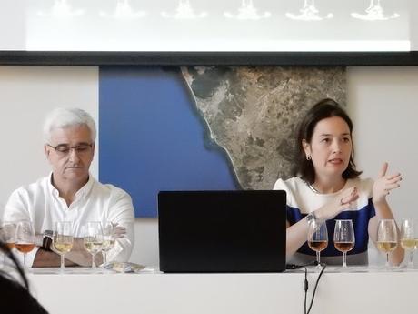 CONSEJO REGULADOR DE LOS VINOS DEL MARCO: Curso de Iniciación a los Vinos de Jerez: Sábado 6 de octubre de 2018: «Bodegas Delgado Zuleta»