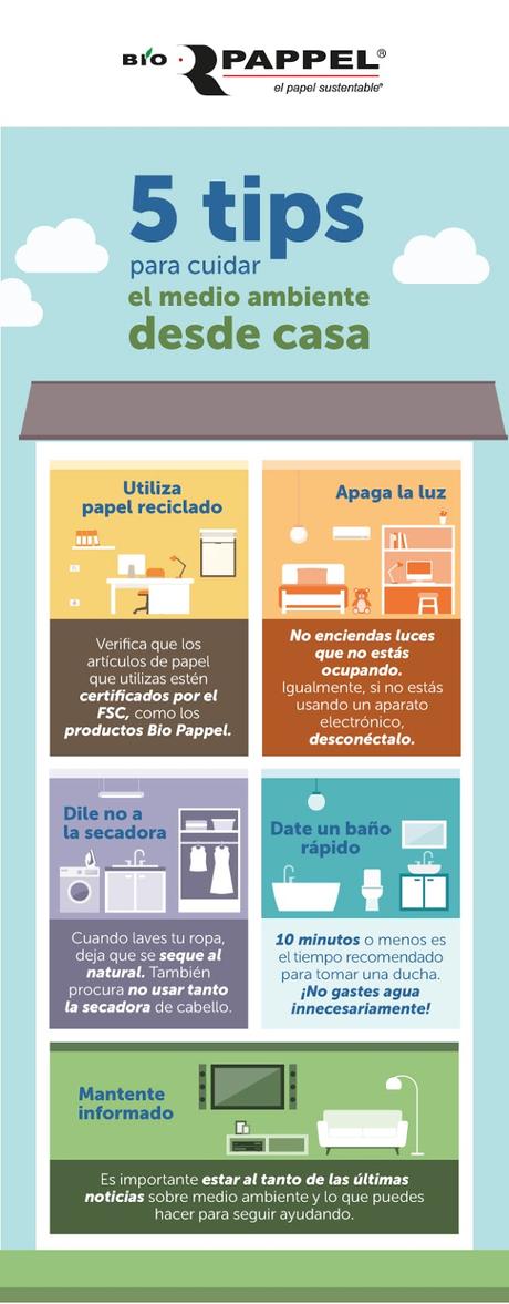 tips ambientales para la casa consejos para cuidar el medio ambiente desde casa