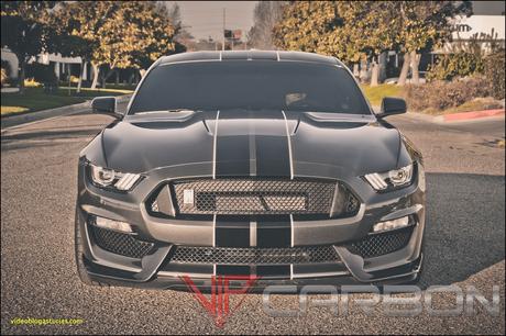 10 Gt350 Front Bumper