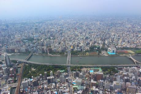 Mi viaje a Japon: Tokio II