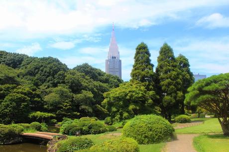 Mi viaje a Japon: Tokio II