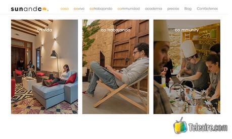 sun-and-co-web