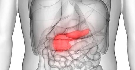 Consejos para cuidar el páncreas Los mejores consejos para cuidar el páncreas