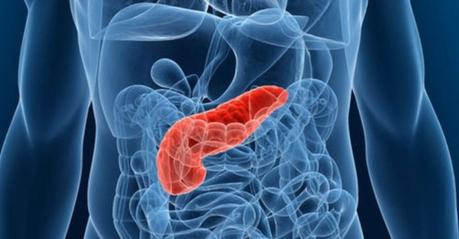 Consejos para cuidar el páncreas Cáncer de páncreas