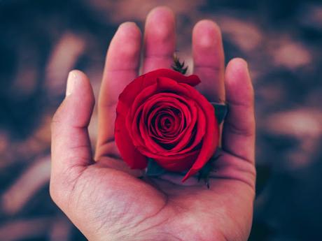 DEL AMOR Y SUS FRASES DEL AMOR Y SUS FRASES