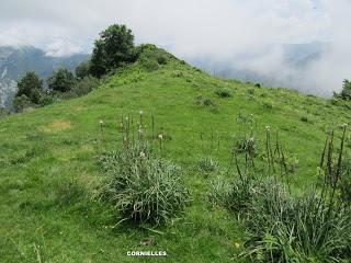 La Foz-Piedrafita-Los Fitos-La Becerrera de San Pedro-La Carasca-Vega Llagos