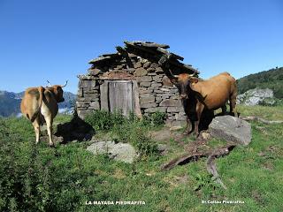 La Foz-Piedrafita-Los Fitos-La Becerrera de San Pedro-La Carasca-Vega Llagos