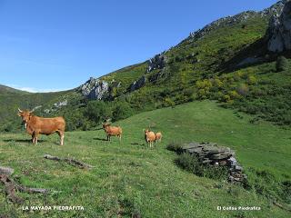 La Foz-Piedrafita-Los Fitos-La Becerrera de San Pedro-La Carasca-Vega Llagos