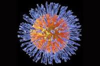El Virus del Herpes sería el causante de la enfermedad de Alzheimer
