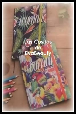 Revistas Noviembre 2018 (Regalos, Suscripciones y mes que viene)