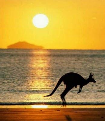 Meteduras de pata en la historia del lenguaje