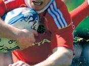 Amlin cup: cuartos final