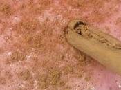 Batido fresones aroma canela