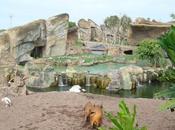 Bioparc Valencia