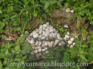 Ya nos sobra el marisco que lo tiramos