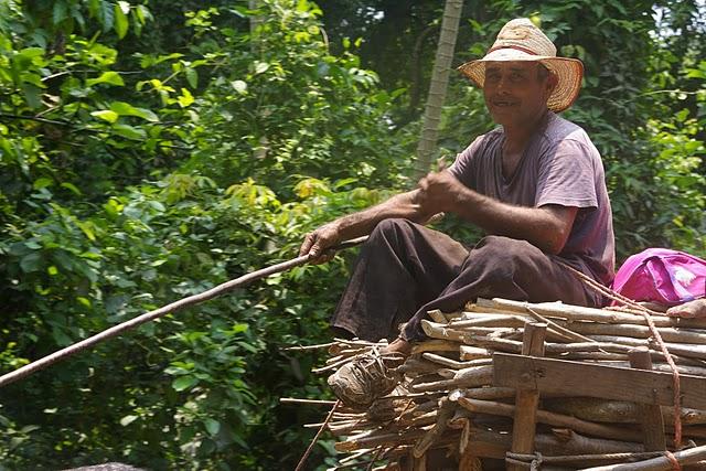 Santa Rita, la santa de los caimanes