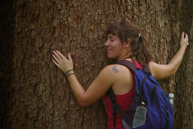 Santa Rita, la santa de los caimanes