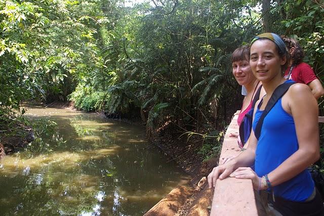 Santa Rita, la santa de los caimanes