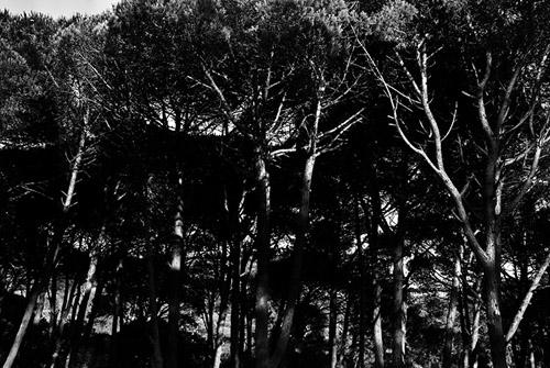 Leo Simoes: “La fotografía me sirve para conocerme a mi mismo”