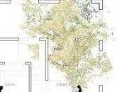 Fujimoto