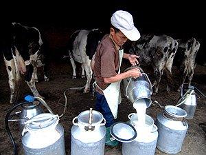 Arriba caravana de lecheros a  las oficinas de Sagarpa, FNL ¡