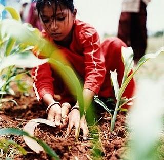 Avalamos el programa Masagro, si se cumple a tiempo, ALCANO ¡