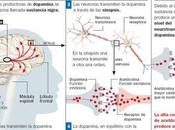 Internacional Parkinson