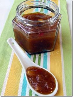 chutnet de mango 11124-1 chutnet de mango 11124-1