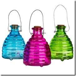 Glass-wasp-catchers Glass-wasp-catchers