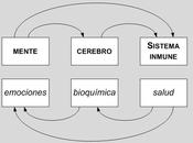 Psiconeuroinmunología... ¿comorl?