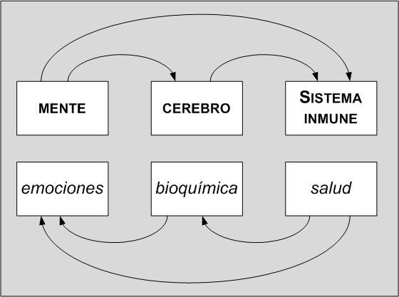Psiconeuroinmunología... ¿comorl?