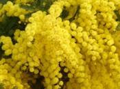feel Yellow