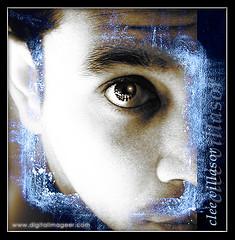 Anatomía: la retina