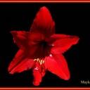 10×10: Lectura conjunta “El Pasaje”