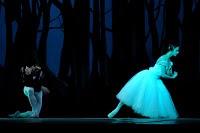 Ballet Nacional: 170 años del estreno de Giselle