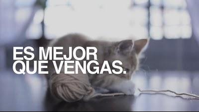 Continúa el MECAL 2011, Festival del Cortometraje