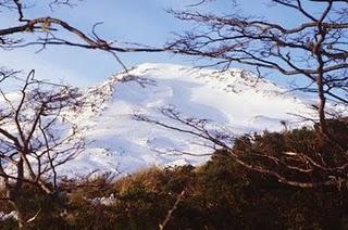 Parque nacional de Puyehue