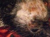 Pupitas (Córdoba) imagen dice todo:(