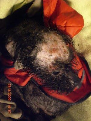 Pupitas (Córdoba) su imagen lo dice todo:(