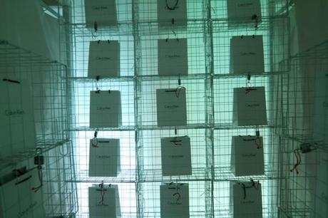 Calvin Klein Underwear festeja el aniversario del Club Rhodesia