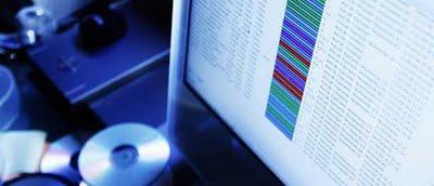 Desarticula  red de robo de datos por Internet