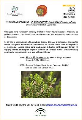 IV Jornadas de Botánicas: Plantación de Camarina (Corema album)
