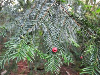 Expedición Urdaibai